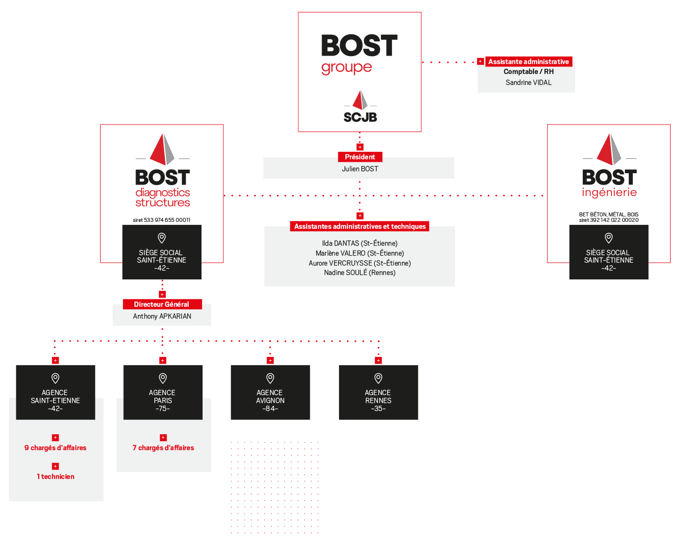 Organigramme - Bost Diagnostics Structures